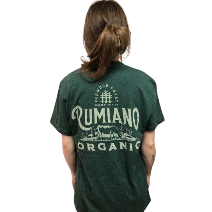 Rumiano Organic - Green and White T-Shirt