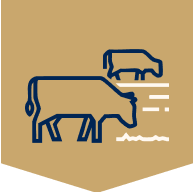 Image block